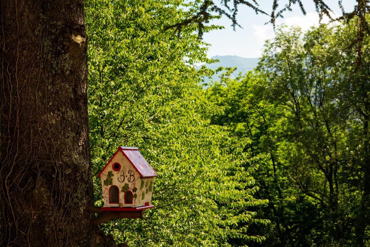 La Demeure Aux Pins Lourdes Exterior foto